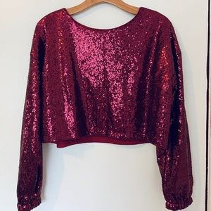 Sparkly sequined crop top with long sleeves! ✨